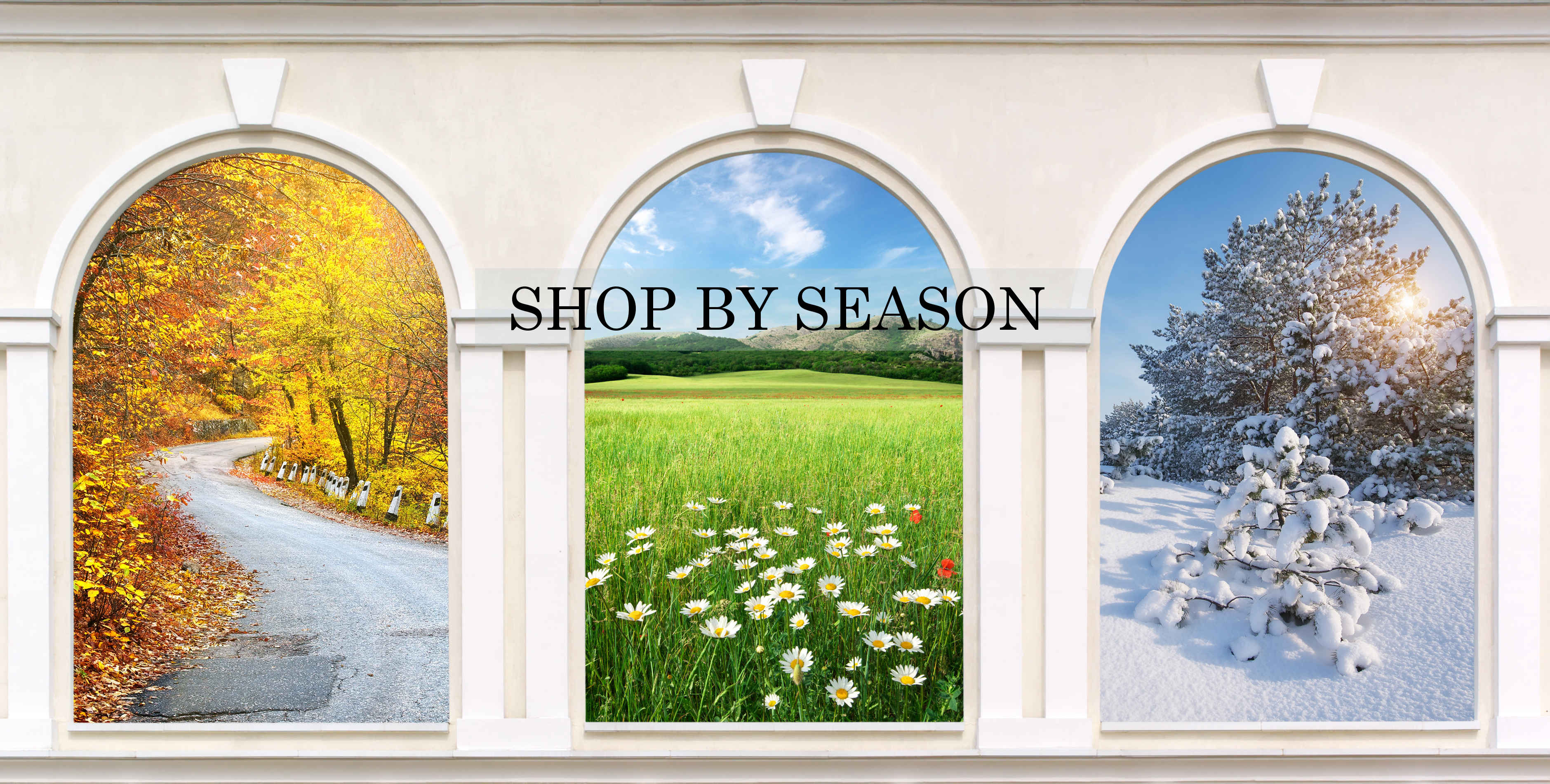Shop by Season